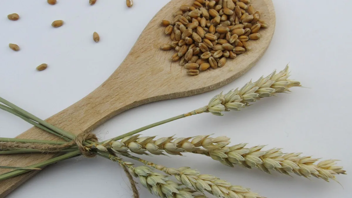 Recette petit épeautre : ma version qui passe avec trois enfants